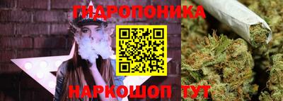 jwh Нальчик