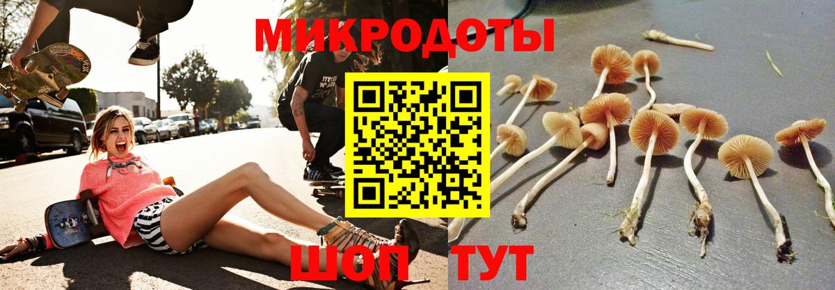 Псилоцибиновые грибы мухоморы Тольятти