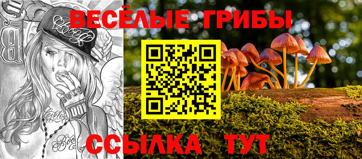 Тольятти  Галлюциногенные грибы мицелий  Галлюциногенные грибы Cubensis  Вход с VPN 
